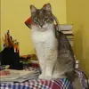 Отзыв от Ульяна Карпова